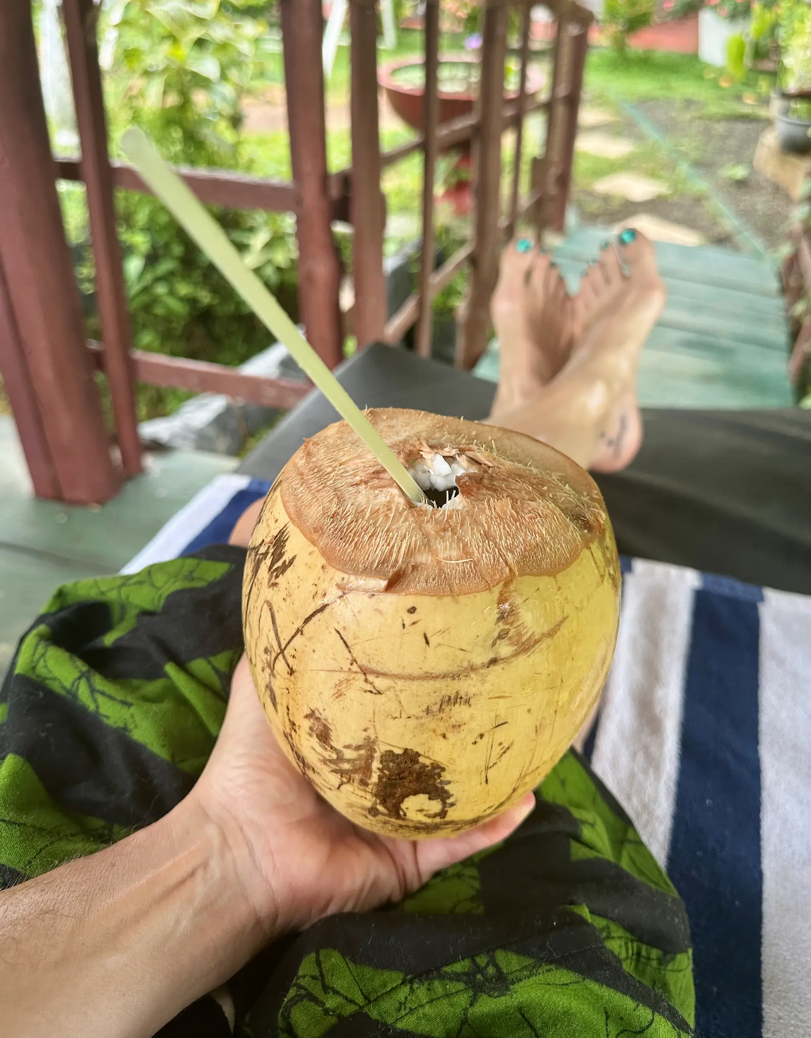 Frische King Coconut auf der Veranda, die Füsse hochgelegt