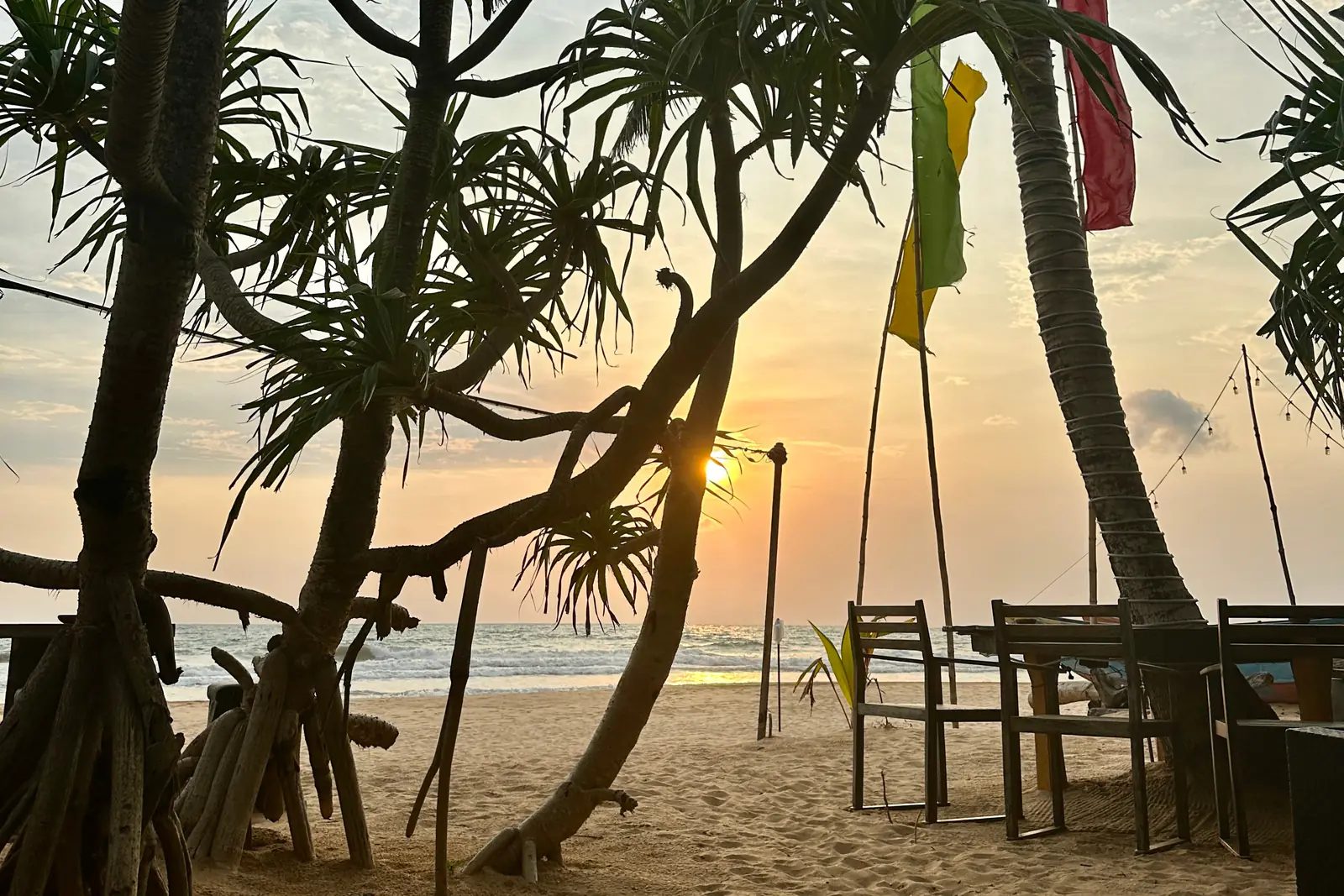Palmen am Strand bei Sonnenuntergang