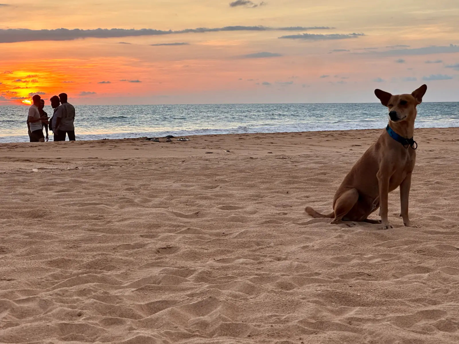 Abends am Strand von Bentota